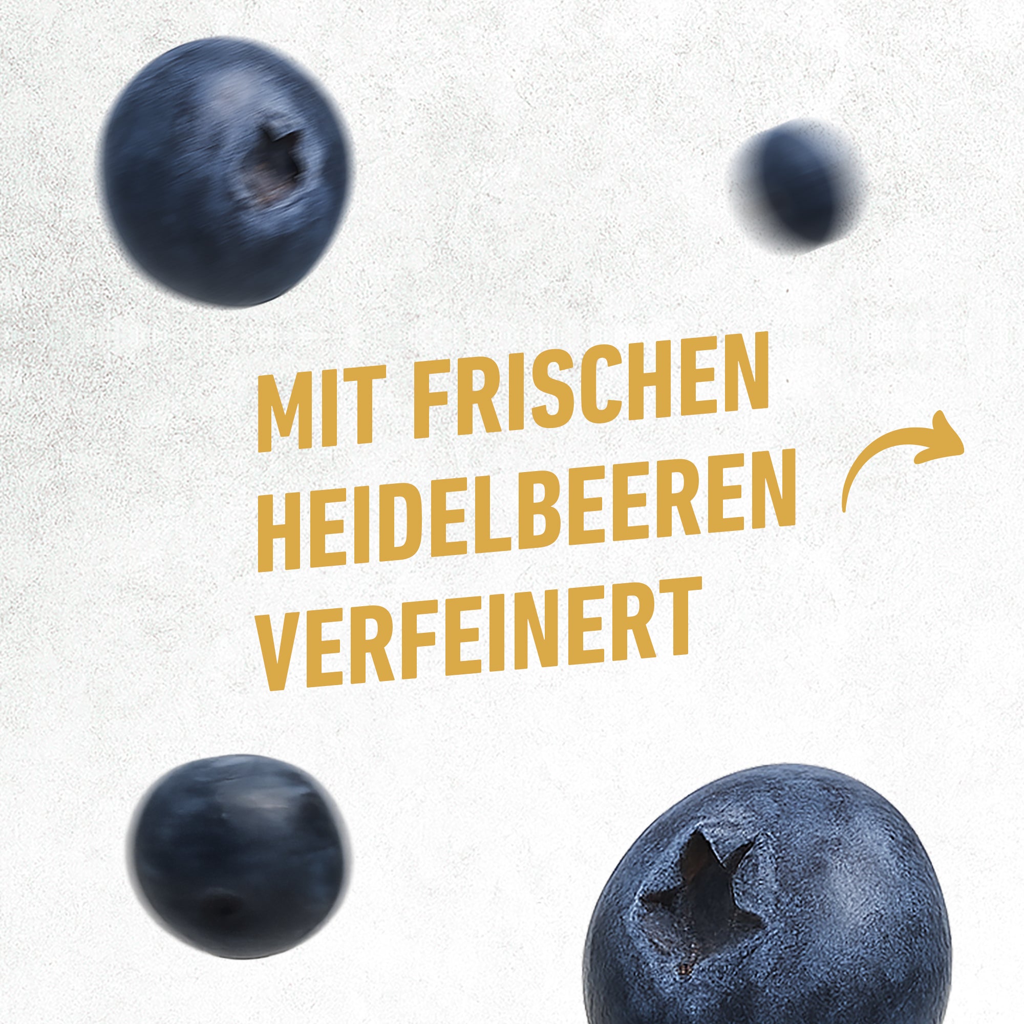 Frische Blaubeeren verfeinern den natürlichen Geschmack des kukki Cocktail Wild Berry in der Glasflasche.