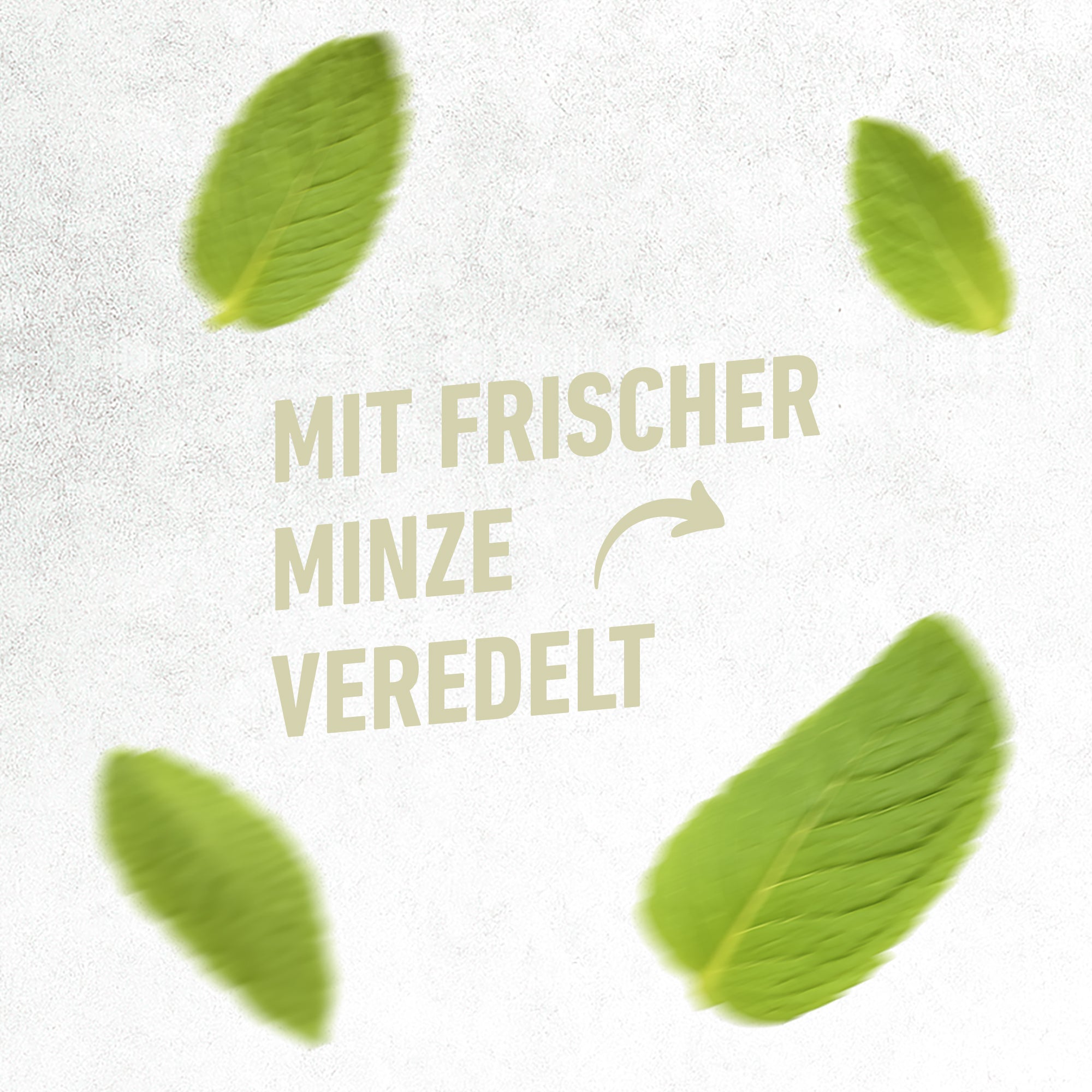 Vier frische grüne Minzblätter umgeben den Schriftzug „frische Minze“ bei kukki Cocktail Caipi.