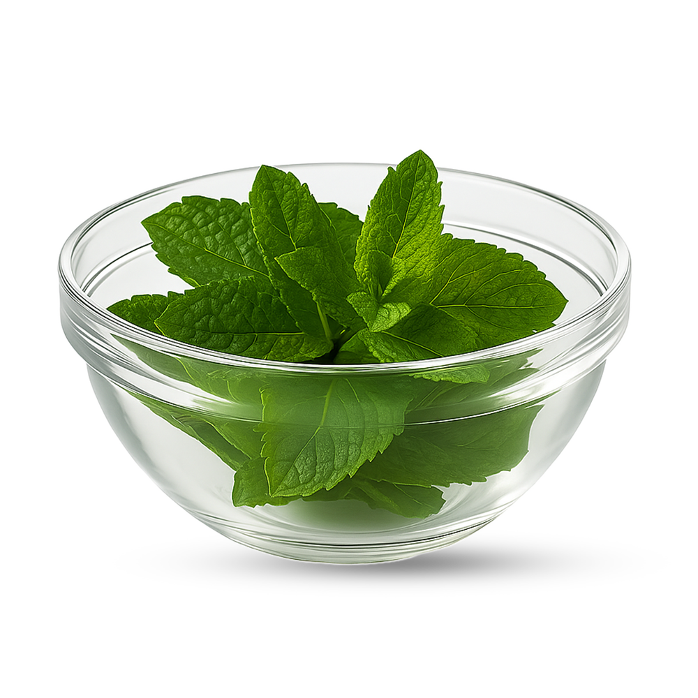 Frische grüne Minzblätter in klarem Glasbehälter für kukki Cocktail.