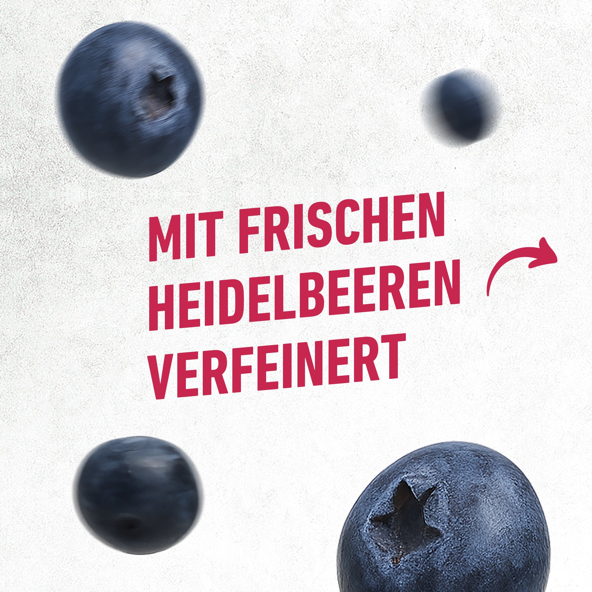 Vier frische Heidelbeeren vor hellem Hintergrund mit rotem Schriftzug.
