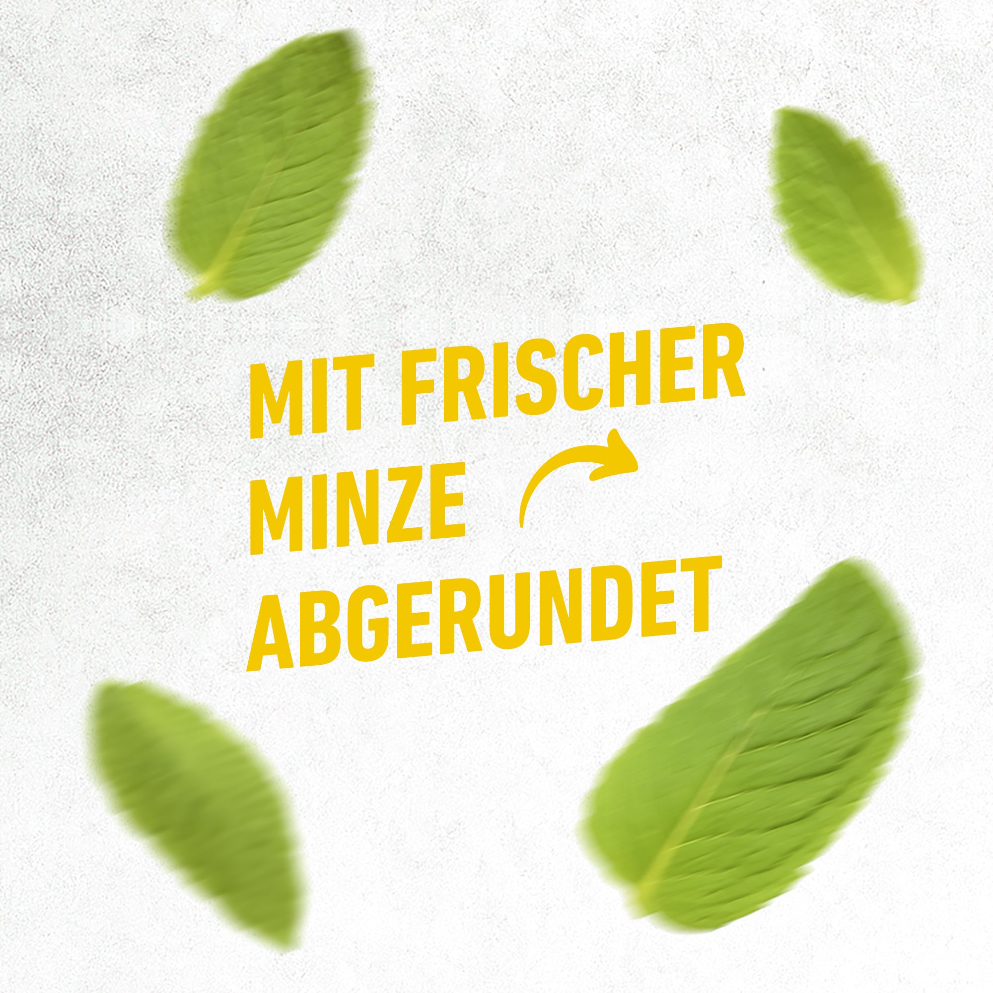 Vier frische grüne Minzblätter umgeben den gelben Text "Mit frischer Minze" auf hellem Hintergrund.